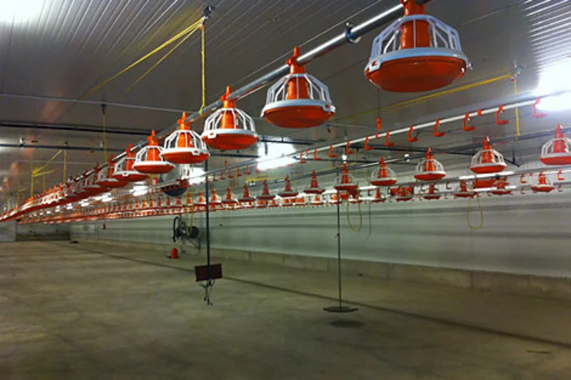 Instalaciones ganaderas para 30.000 pollos Instalaciones ganaderas para 30.000 pollos