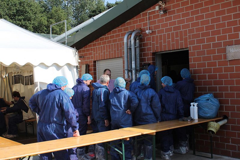 Besucher in Schutzanzügen auf dem Weg in den Stall für die Hähnchenmast 