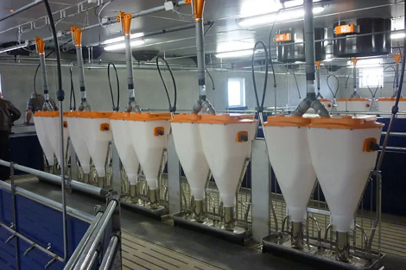 New pig house including pig equipment for 1,376 animal places 