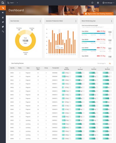 Sow Feeding Statistics: visualizzazione intuitiva dei dati di 