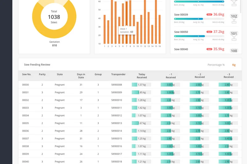 Sow Feeding Statistics: visualizzazione intuitiva dei dati di 