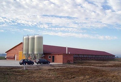 Stalltechnik / Fütterungsanlagen im Geflügelstall für die Hähnchenmast, Putenhaltung, Abluftreinigung und das Stallklima