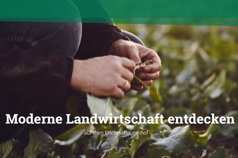 Farming 4.0  in der modernen Landwirtschaft