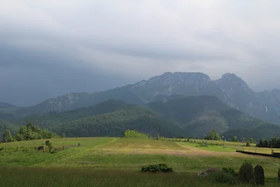 Sympozjum Drobiarskie w Zakopanem