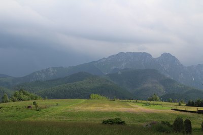 Sympozjum Drobiarskie w Zakopanem