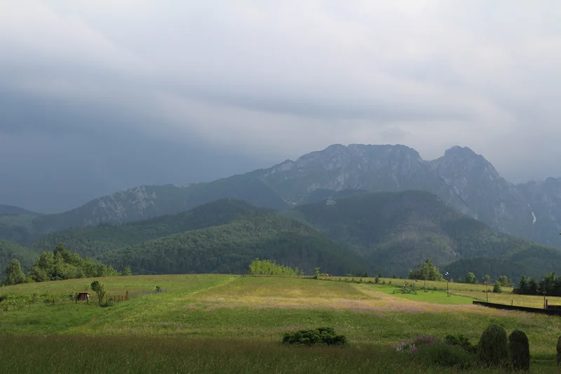 Sympozjum Drobiarskie w Zakopanem