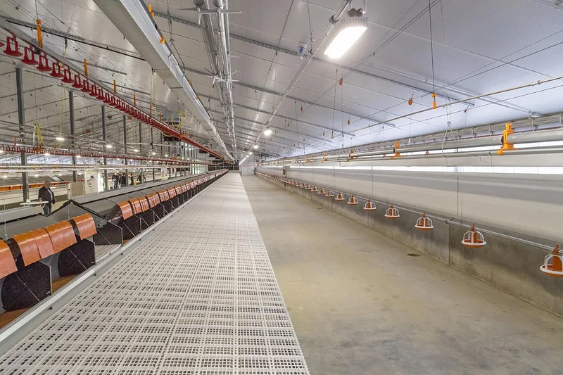 Relax nest for broiler breeder management