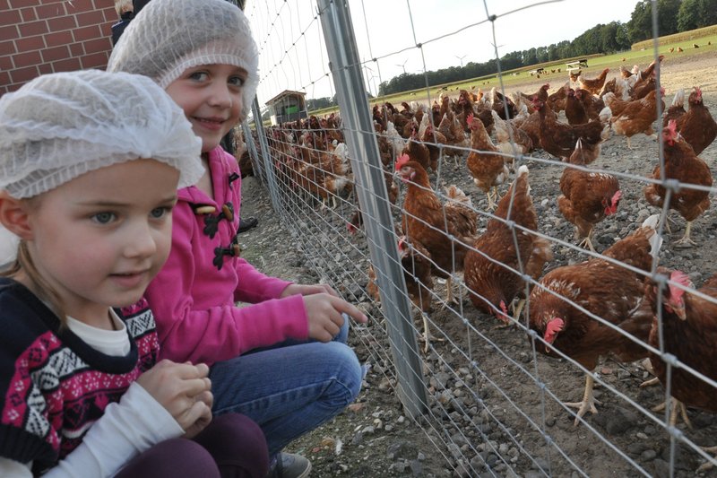 Rund 600 Besucher lernen Geflügelhaltung kennen