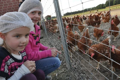 Rund 600 Besucher lernen Geflügelhaltung kennen Rund 600 Besucher lernen Geflügelhaltung kennen