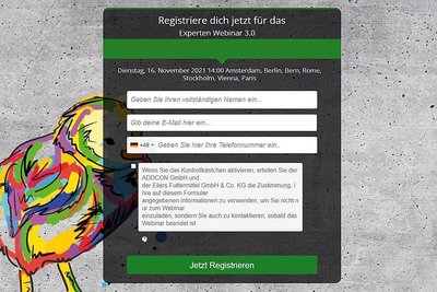 Hähnchenmast | Gratis-Webinar für Geflügelhalter