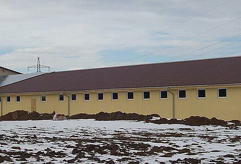 Massenansturm am Tag der offenen Tür