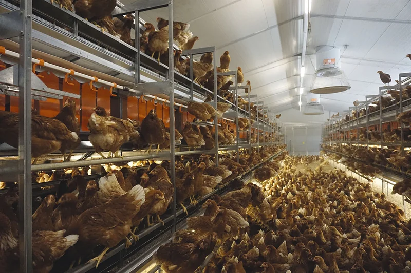 Openbare raadpleging over de toekomst van het Gemeenschappelijk Landbouwbeleid