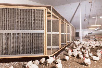 Abluftreinigungssystem StuffNix 