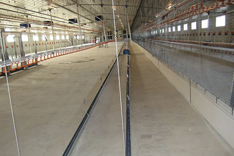 New houses with poultry systems for breeder management New houses with poultry systems for breeder management