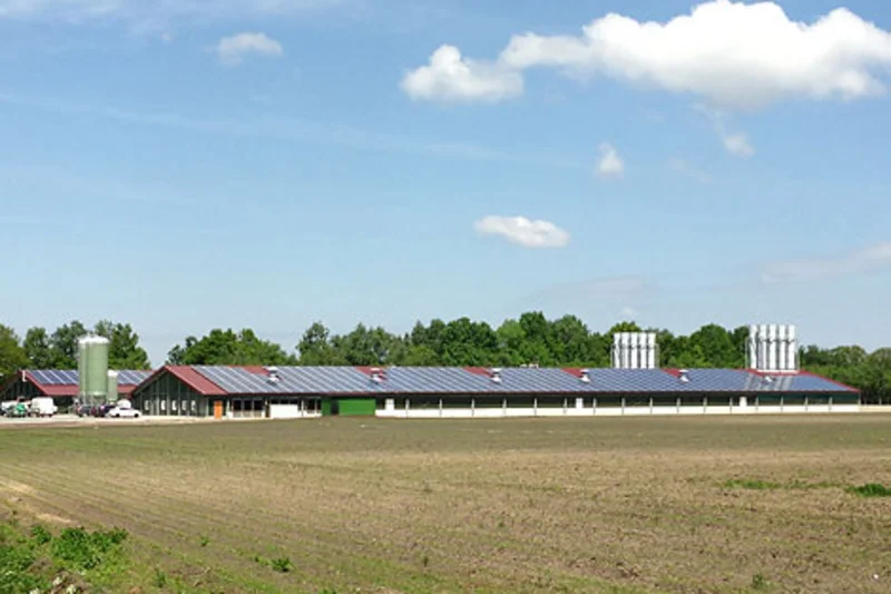 Open house: poultry house with equipment for 40,000 breeders Poultry house with equipment for breeder management