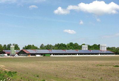 Poultry house with equipment for breeder management