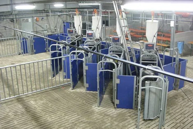 Stallanlage in nur vier Monaten erweitert Stallanlage in nur vier Monaten erweitert