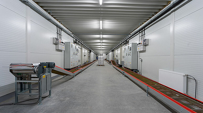 Long corridor with egg conveyors 
