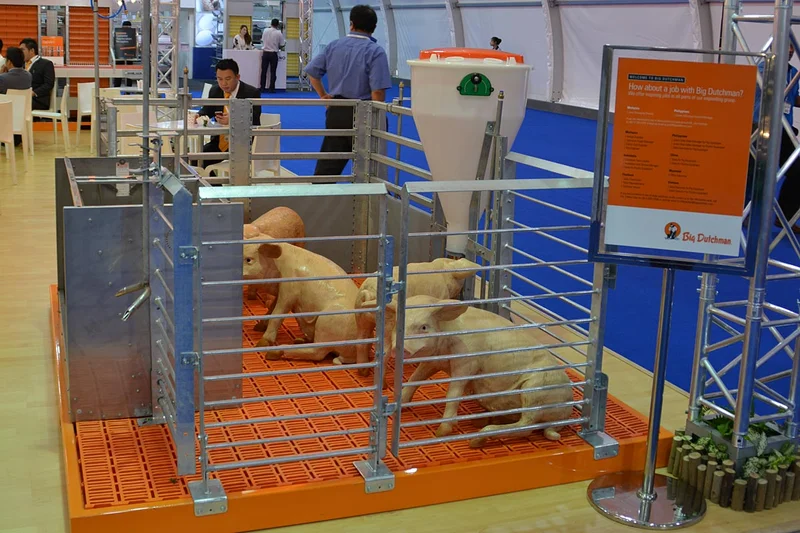 Equipment for pig finishing