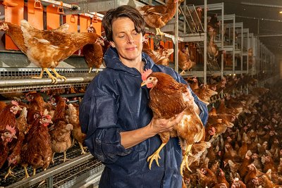 In the barn: woman holding a chicken. 