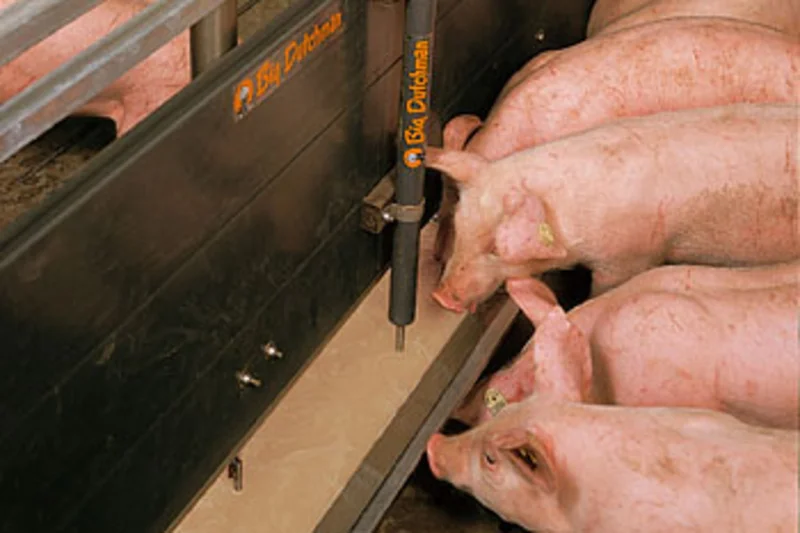 Neu errichteter Schweinemaststall für 1.440 Tiere Neu errichteter Schweinemaststall für 1.440 Tiere