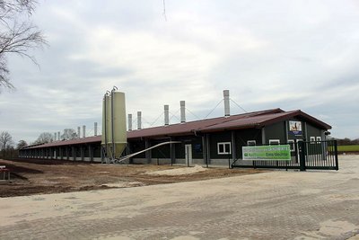 Bâtiment pour l’élevage de poulettes