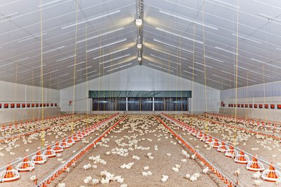 Abluftreinigungssystem StuffNix 