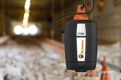 Figure capteur d'ammoniac dans l’élevage de poulets de chair Figure capteur d'ammoniac dans l’élevage de poulets de chair