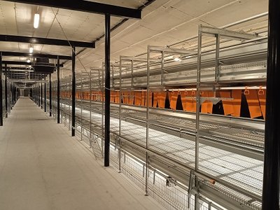 Drzwi Otwarte na Fermie