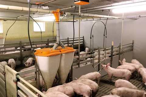 WeightCheck rilevamento visivo del peso