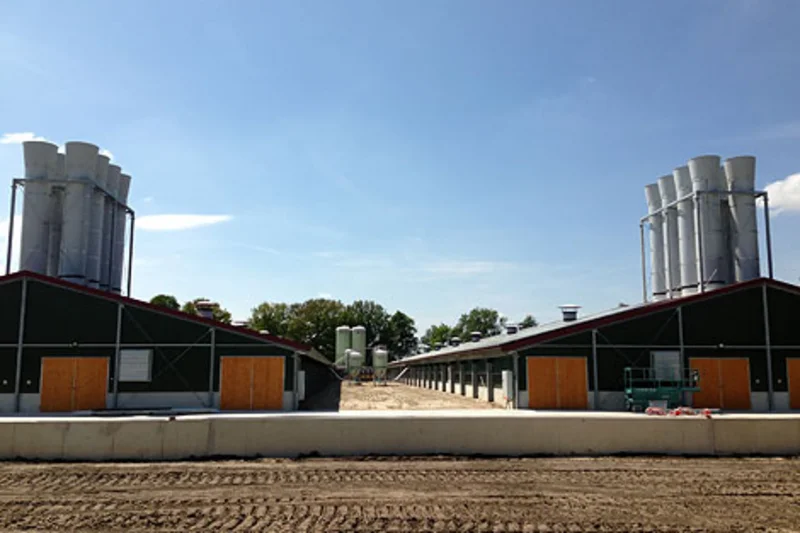 Breeder management with efficient manure pit ventilation Breeder management with efficient manure pit ventilation