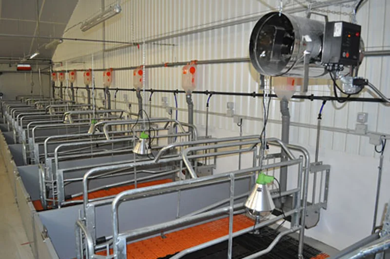 Sow management of 2,600 animals in a closed system Sow management of 2,600 animals in a closed system