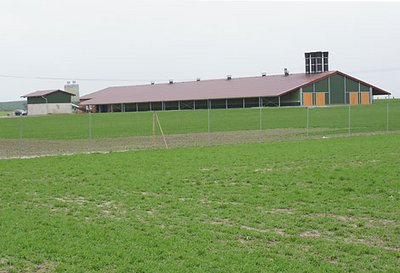 En Melle, se ha inaugurado una nueva nave avícola para el manejo en campo abierto (sistema aviario)