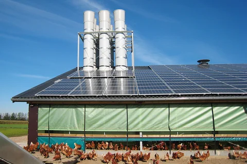 Upravljanje klimatom kod živine