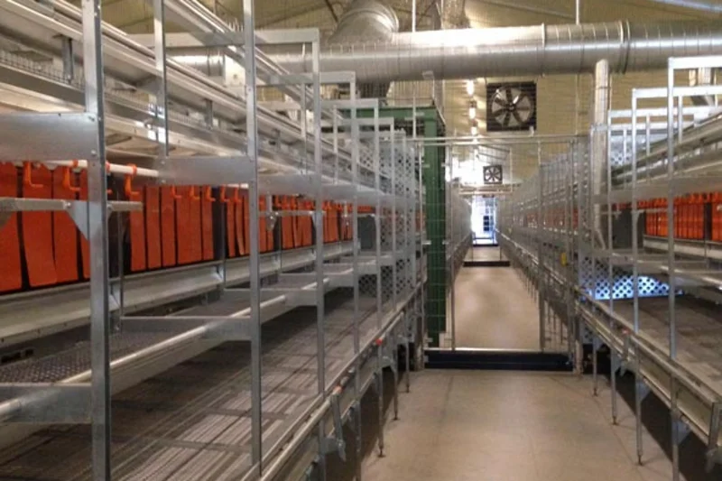 NaturaStep aviary systems – view of the aisle NaturaStep aviary systems – view of the aisle
