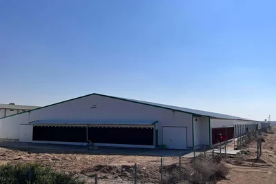 Nouveau bâtiment pour l’élevage au sol Nouveau bâtiment pour l’élevage au sol