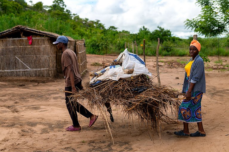 ebenso wie der Abtransport des Mists. ebenso wie der Abtransport des Mists.