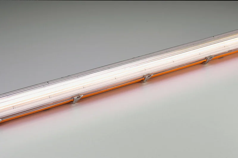 Stalverlichting: Professionele oplossingen voor de pluimveesector Stalverlichting: Professionele oplossingen voor de pluimveesector