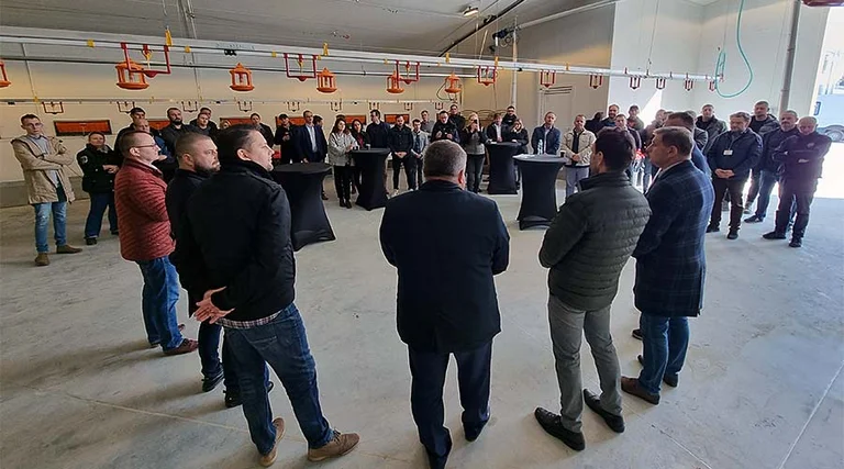 Wewnątrz kurnika Wewnątrz kurnika