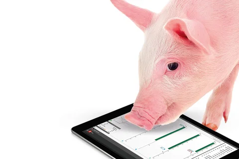 BigFarmNet management and control system