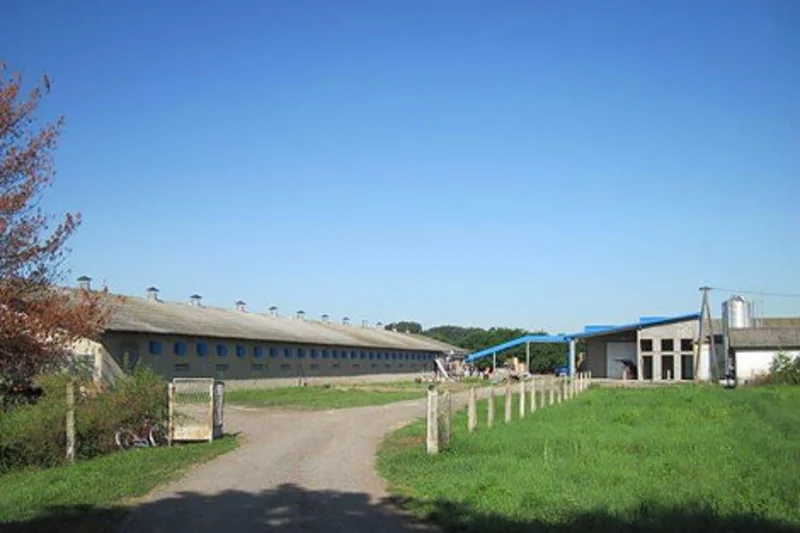 At Karađorđevo farm four poultry houses have been equipped with Big Dutchman poultry equipment