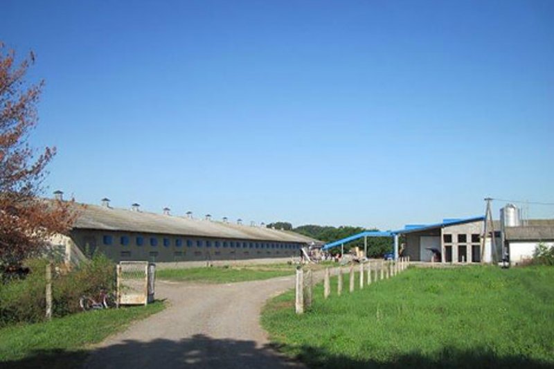 À la ferme de Karađorđevo, quatre poulalliers ont été équipés de matériel d'èlevage Big Dutchman.