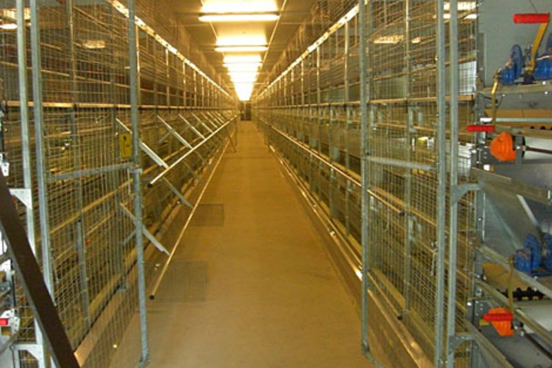 Inauguration d'une volière d’élevage pour 84.000 poules