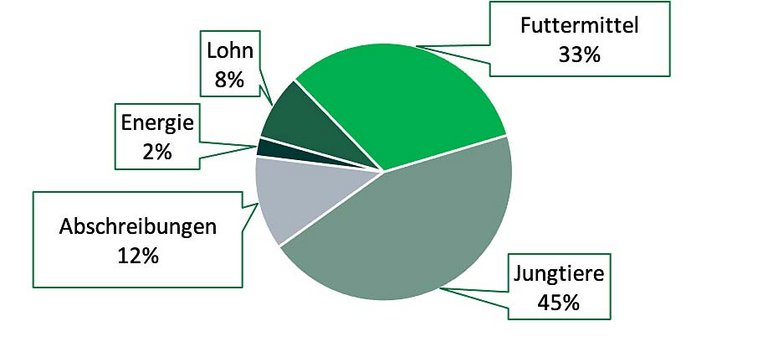 Grafik Aufteilung der Gesamtkosten 