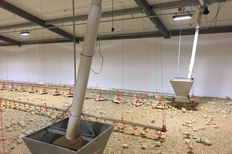 Fütterungsanlage Augermatic, Tränkelinien Fütterungsanlage Augermatic, Tränkelinien