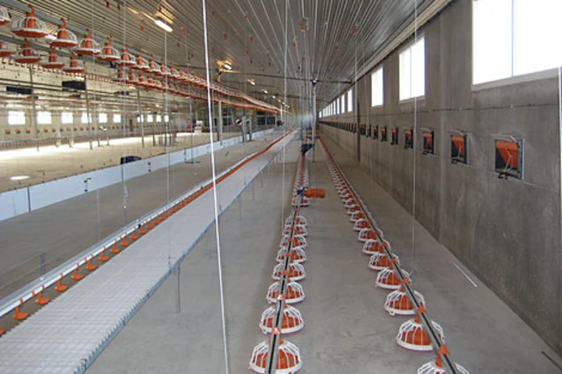 New houses with poultry systems for breeder management New houses with poultry systems for breeder management