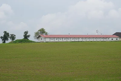 Geflügelstall von außen Geflügelstall von außen