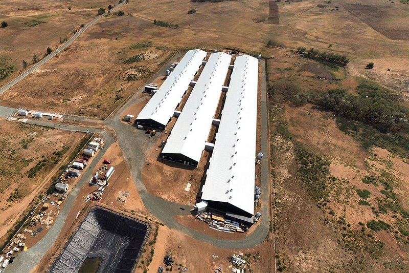 Agilo-Konzept: Gruppenhaltung ferkelführender Sauen feiert Premiere in Rumänien