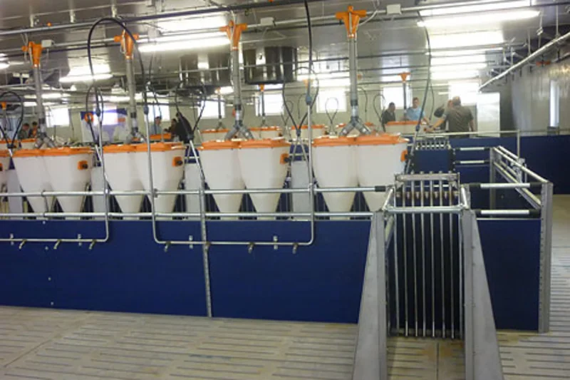 New pig house including pig equipment for 1,376 animal places 