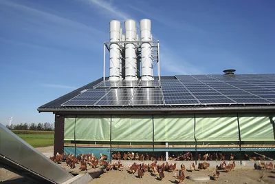 Bâtiment avec poules pondeuses à l’air libre Bâtiment avec poules pondeuses à l’air libre